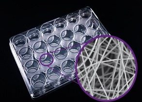 ساخت داربست سه‌بعدی با روش الکتروریسندگی برای رشد سلول‌های پوست